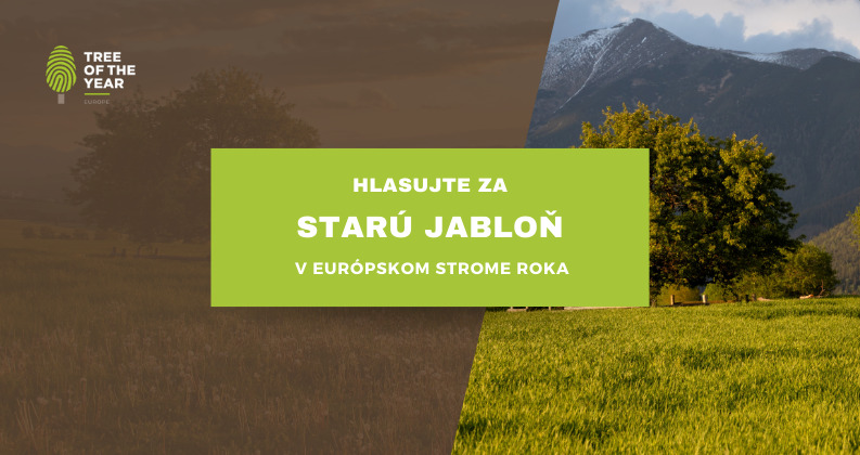 hlasujte za finalistu v Europskom strome roka