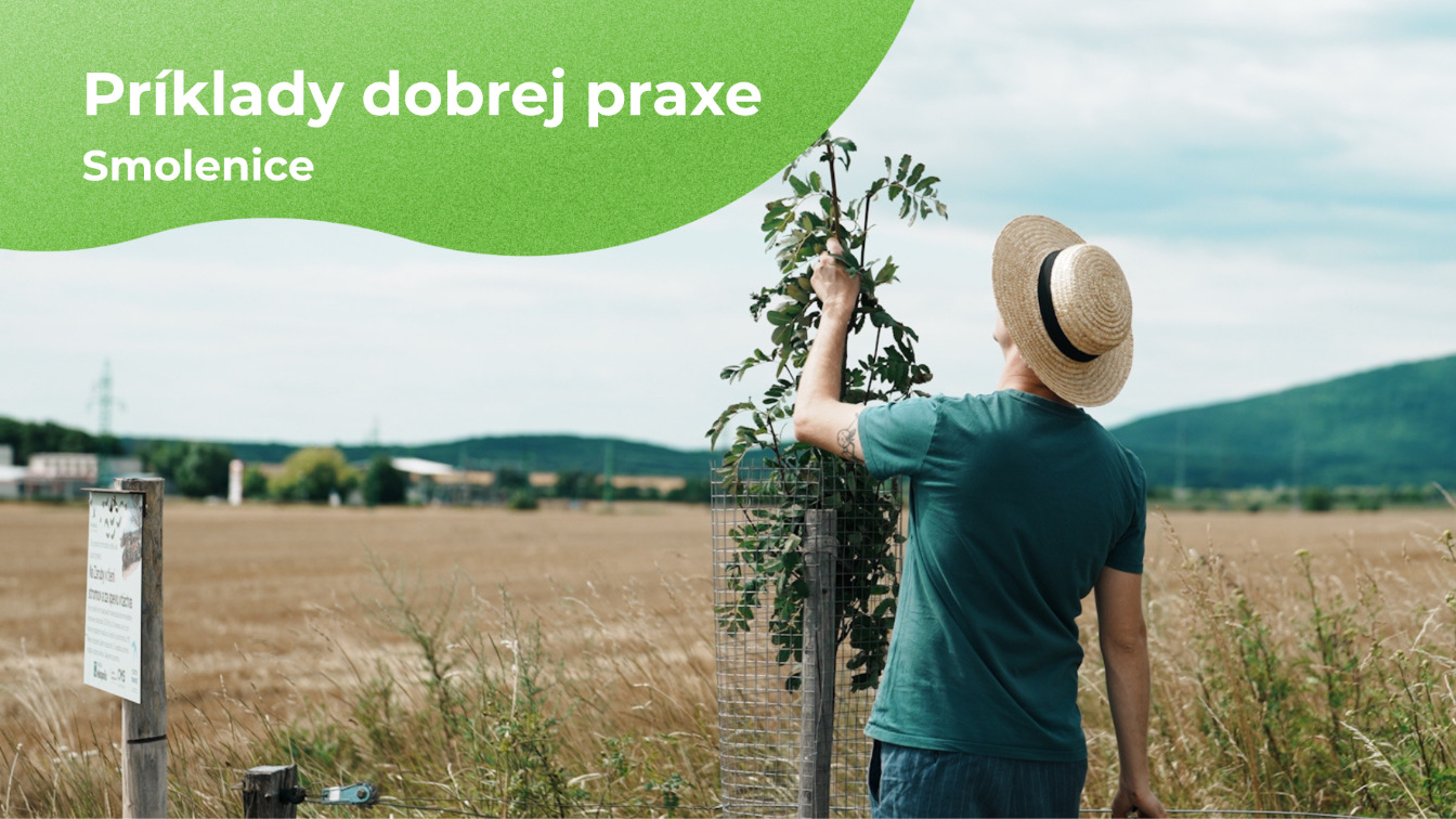 Príklady dobrej praxe